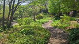 馬場花木園