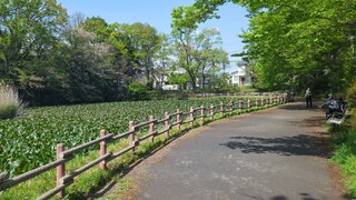 PHOTO 菊名池公園#1