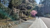 大塚丘