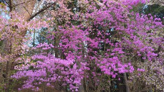 PHOTO 大塚丘#3