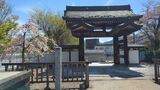 月江寺