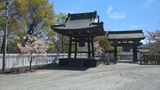 月江寺