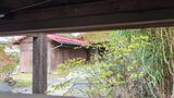 旧外川家住宅(御師住宅)