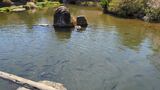 八海庭園 彦兵衛屋敷