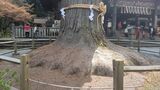 北口本宮冨士浅間神社