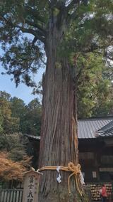 北口本宮冨士浅間神社