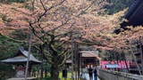 北口本宮冨士浅間神社
