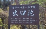 出口池・忍野八海