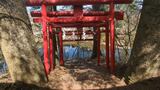 出口池・忍野八海