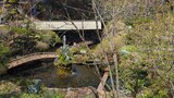忍野八海