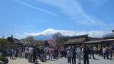 忍野八海