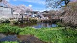 忍野八海