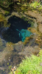 忍野八海