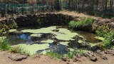 忍野八海