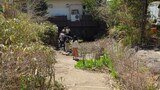 忍野八海