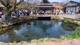 忍野八海
