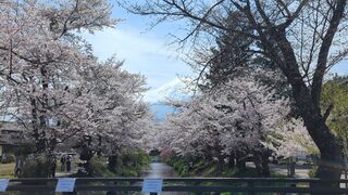 PHOTO 忍野八海#2