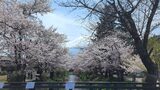 忍野八海