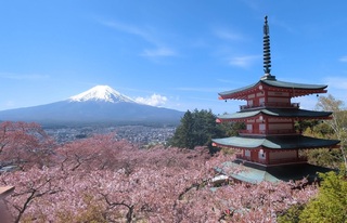 新倉山浅間公園