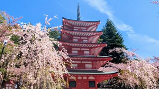PHOTO 新倉山浅間公園#4