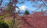 新倉山浅間公園