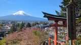 新倉山浅間公園