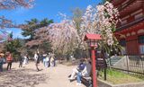 新倉山浅間公園