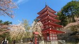 新倉山浅間公園
