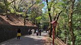 新倉山浅間公園
