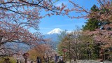 新倉山浅間公園