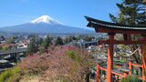 富士山