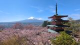 富士山