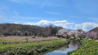 PHOTO 富士山#8