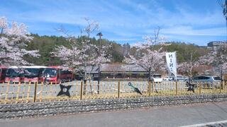 PHOTO 忍野しのびの里#1