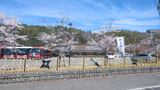 忍野しのびの里