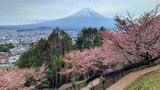 新倉山浅間公園