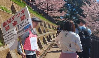 PHOTO 新倉山浅間公園#6