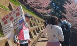 新倉山浅間公園