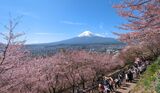 新倉山浅間公園