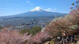 新倉山浅間公園