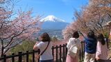 新倉山浅間公園