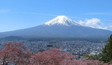 新倉山浅間公園