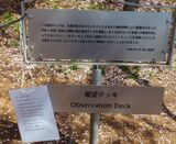 新倉山浅間公園