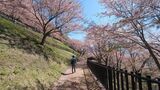 新倉山浅間公園
