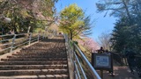 新倉山浅間公園
