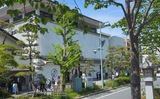 若宮大路・段葛
