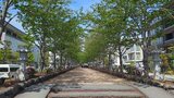 若宮大路・段葛