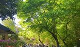 旧華頂宮邸