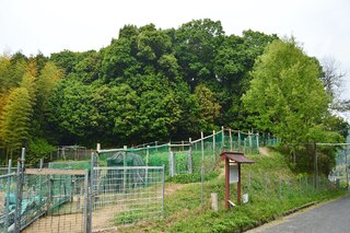 PHOTO 赤坂天王山古墳#1