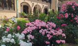 KIOI ROSE GARDEN